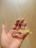 Weedy Seadragon Acrylic Keychain | Bag Charm