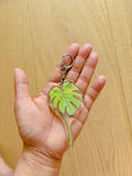 Monstera Leaf Acrylic Keychain | Bag Charm